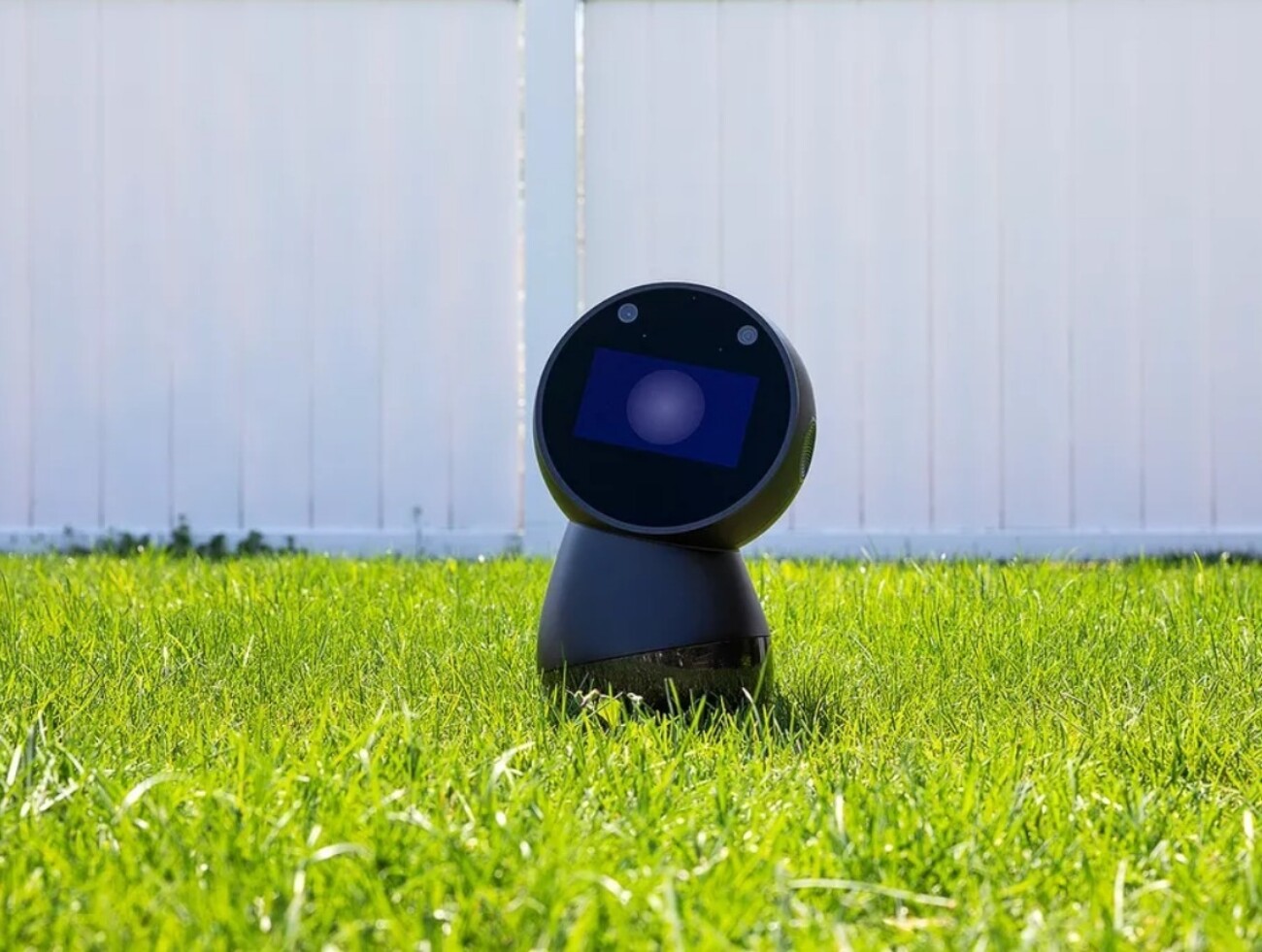 Производитель социальных роботов Jibo сообщил о закрытии — год спустя его «спасла» другая компания