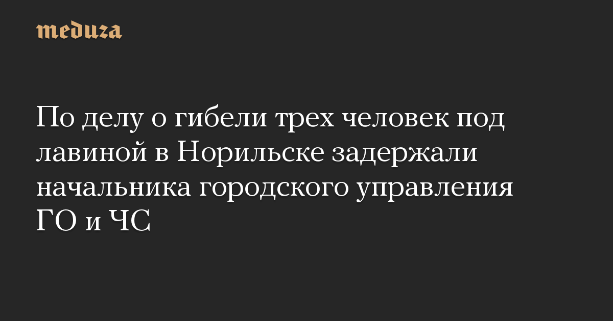 По делу о гибели трех человек под лавиной в Норильске задержали начальника городского управления ГО и ЧС