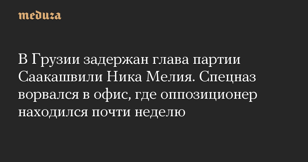 В Грузии задержан глава партии Саакашвили Ника Мелия. Спецназ ворвался в офис, где оппозиционер находился почти неделю