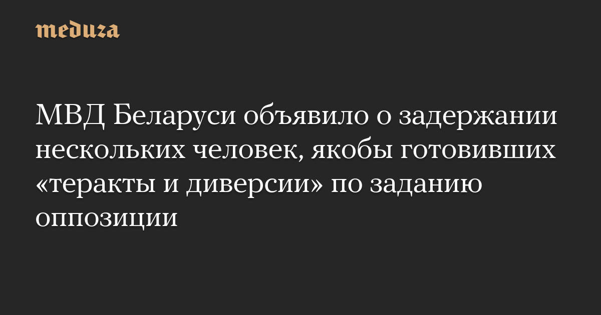 МВД Беларуси объявило о задержании нескольких человек, якобы готовивших «теракты и диверсии» по заданию оппозиции