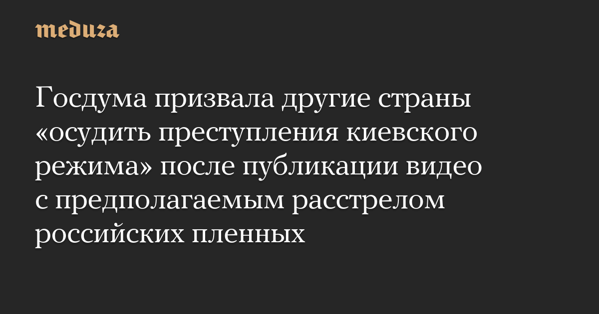 Госдума призвала другие страны «осудить преступления киевского режима» после публикации видео с предполагаемым расстрелом российских пленных