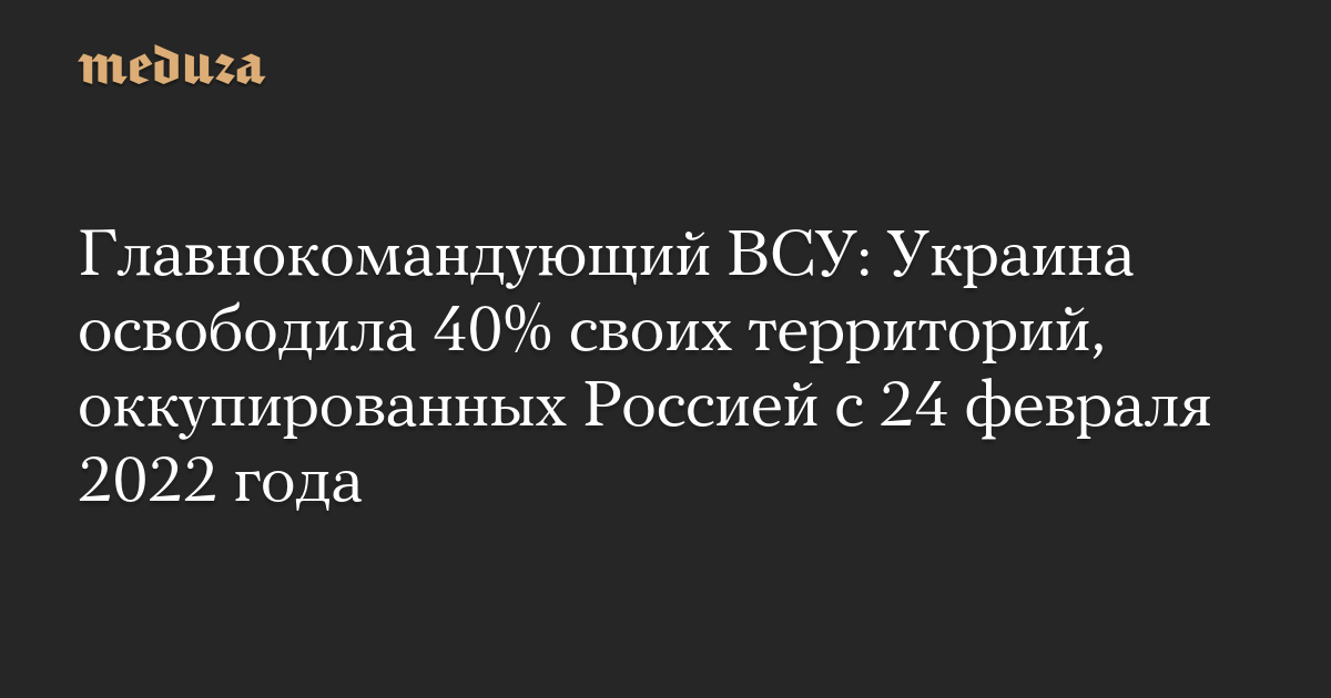 Главнокомандующий ВСУ: Украина освободила 40% своих территорий, оккупированных Россией с 24 февраля 2022 года