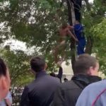 Прыгнул на дерево и справил нужду мужчина в Буденновске