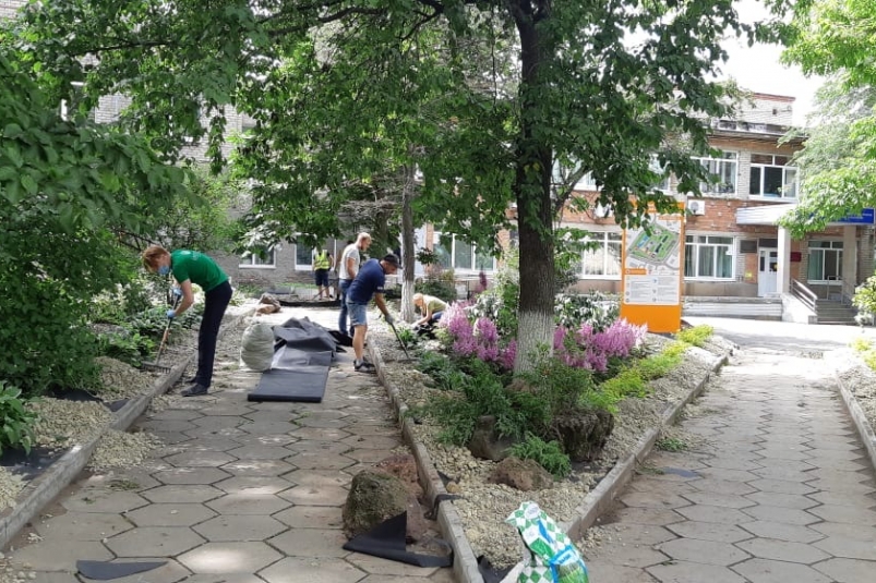 Сотрудники Сбербанка создали цветущий сад на территории одной из больниц Владивостока