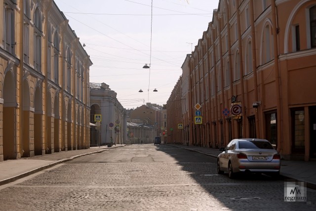 Вирусный шашлык: петербуржцев не удалось запереть дома