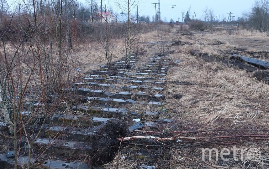 В Ленобласти с железнодорожной станции вынесли 6 тонн деталей