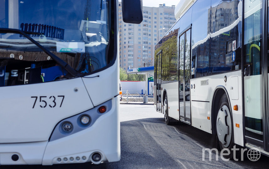 Дополнительный транспорт сократит интервалы движения на маршрутах Петербурга