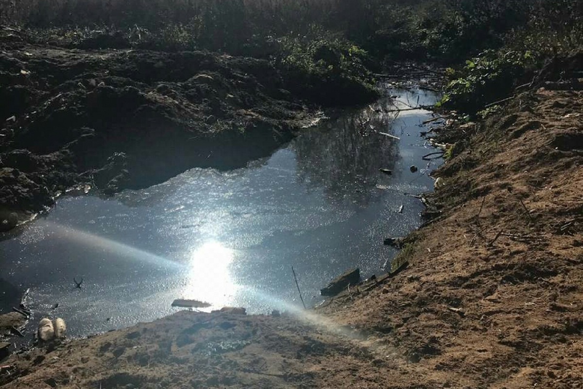 В Тверской области «Водоканал» незаконно сбрасывал канализационные стоки в реку Западная Двина