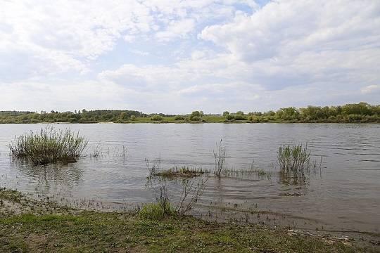 В Волгоградской области нашли утонувшего восьмилетнего мальчика