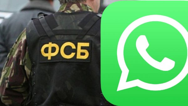 «Дырявый, шпионский, твой»: Из ФСБ могут уволить за «американский» WhatsApp